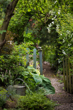 Garten Garten