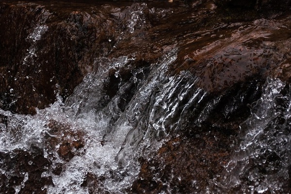Bach, Wasser