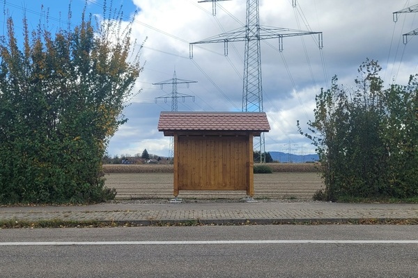 Bush&auml;uschen, Holz 