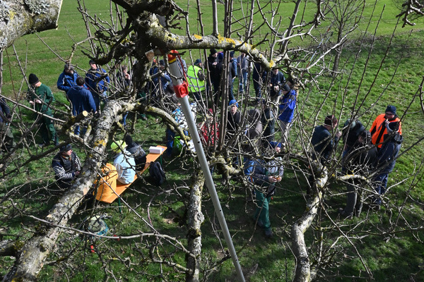 Landschaftspflegetag in der Gemeinde V&ouml;rstetten