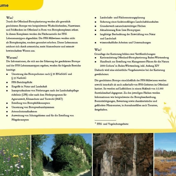 Flyer Seite 2